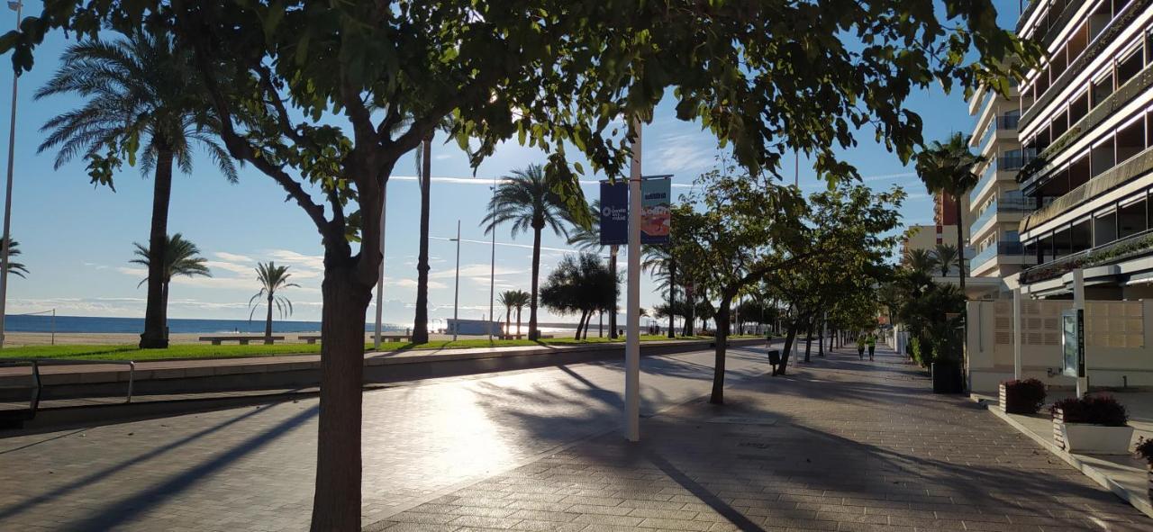 Ola Marina Solo Familias Διαμέρισμα Playa de Gandia Εξωτερικό φωτογραφία